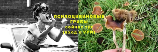марихуана Баксан