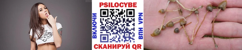 Галлюциногенные грибы мухоморы где найти Дзержинск